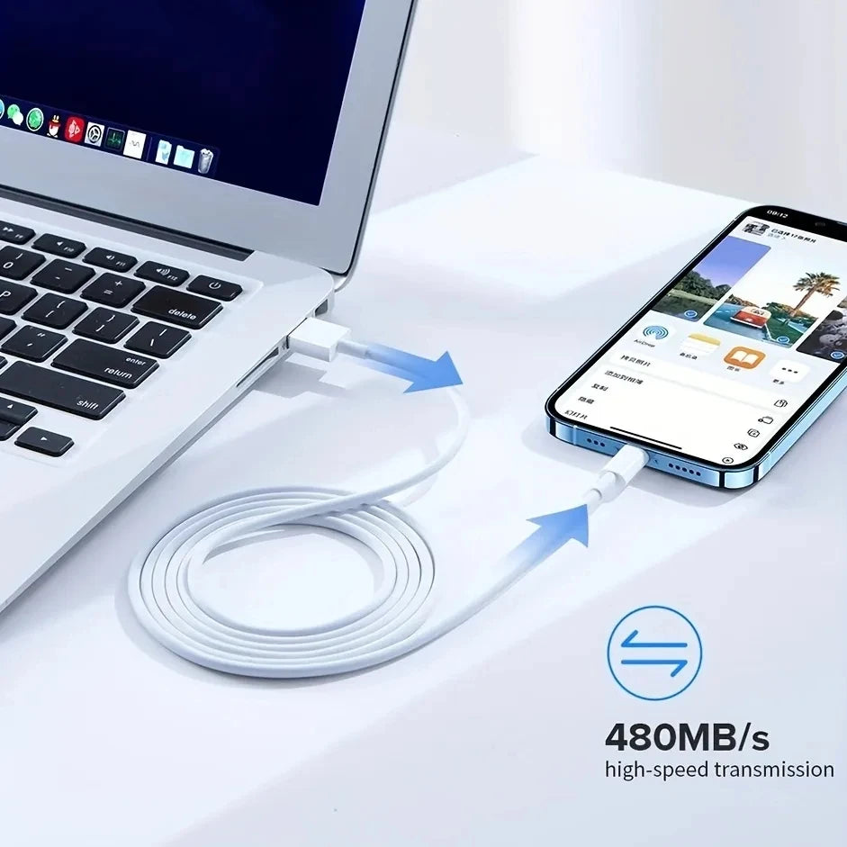 1m 2m 3m 5m Fast Charging USB Cable for iPhone